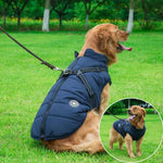 Furry - wasserdichte Hundejacke perfekt für die kalte Jahreszeit