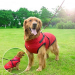 Furry - wasserdichte Hundejacke perfekt für die kalte Jahreszeit