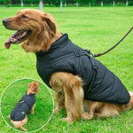 Furry - wasserdichte Hundejacke perfekt für die kalte Jahreszeit