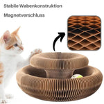 Cordio - Innovatives Spielzeug für spürbaren Stressabbau bei Deiner Katze!