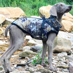Furry - wasserdichte Hundejacke perfekt für die kalte Jahreszeit