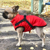 Furry - wasserdichte Hundejacke perfekt für die kalte Jahreszeit